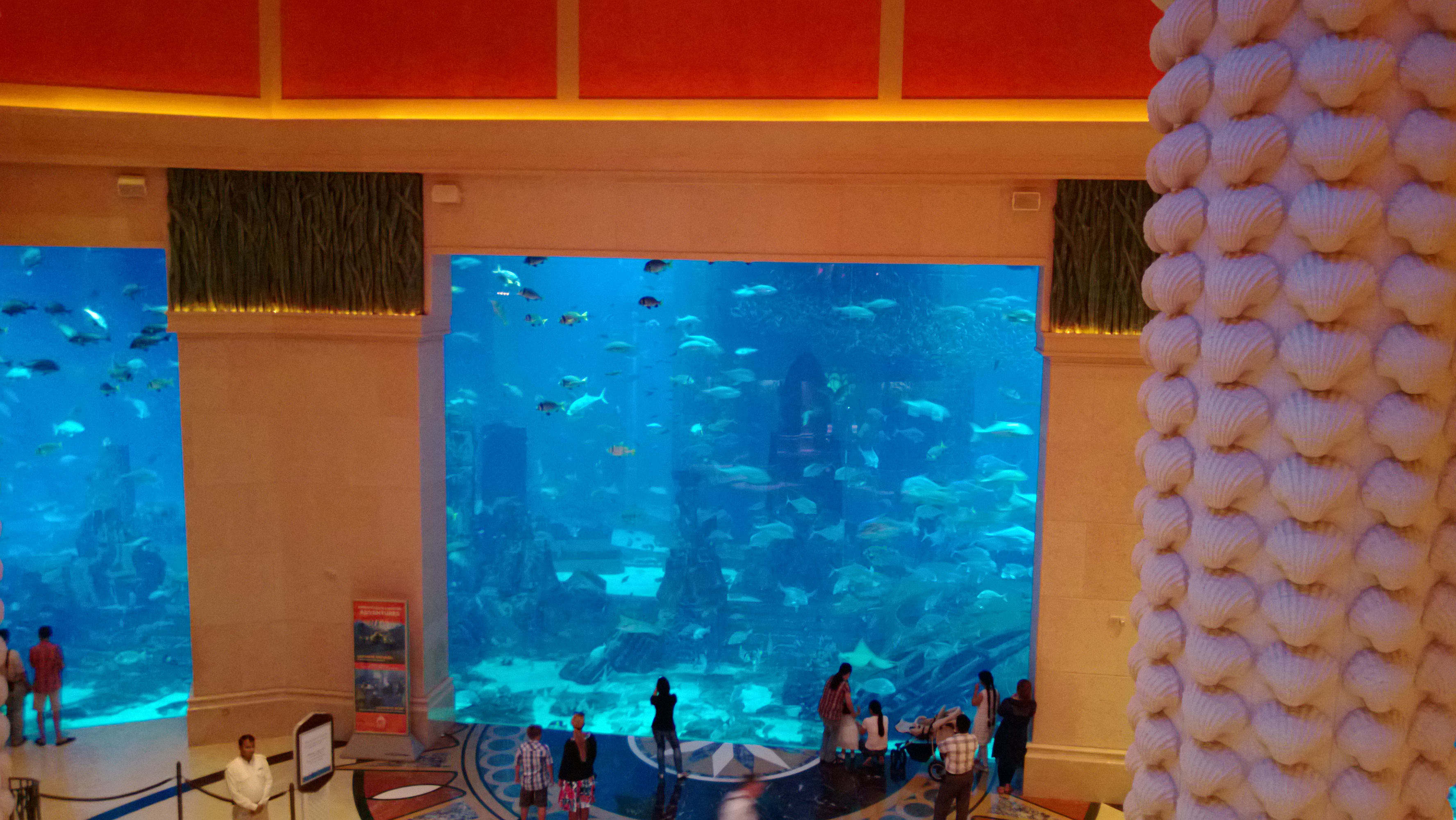 Aquarium In The Atlantis